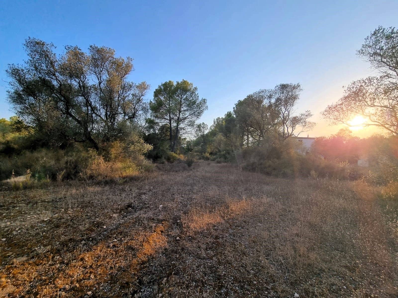 Landgrundstück zu verkaufen in Ginestar - 12.000 € (Ref: 10023302)