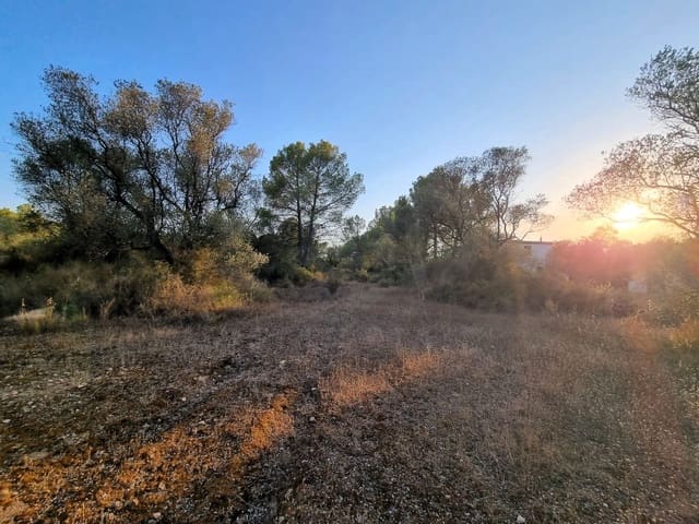 Landgrundstück zu verkaufen in Ginestar - 12.000 € (Ref: 10023302)