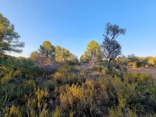 Landgrundstück zu verkaufen in Ginestar - 12.000 € (Ref: 10023302)