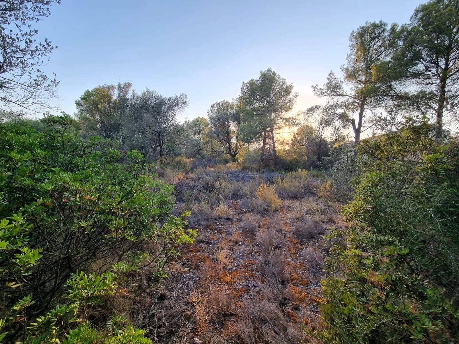 Landgrundstück zu verkaufen in Ginestar - 12.000 € (Ref: 10023302)