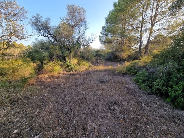 Landgrundstück zu verkaufen in Ginestar - 12.000 € (Ref: 10023302)