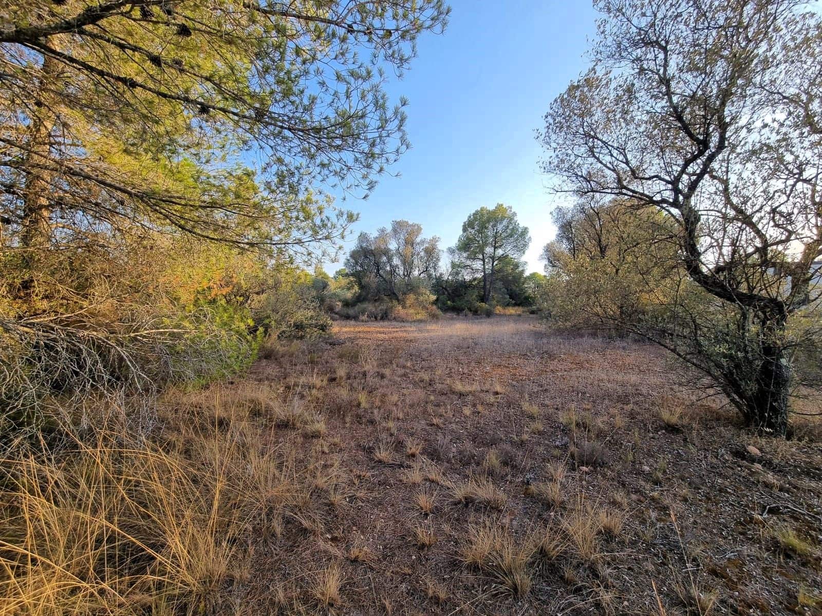 Landgrundstück zu verkaufen in Ginestar - 12.000 € (Ref: 10023302)