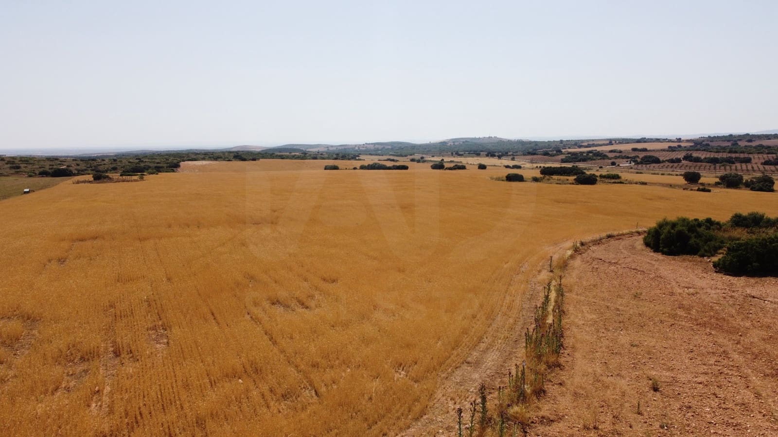 Mark till salu i Balazote - 3 600 000 € (Ref: 10023303)