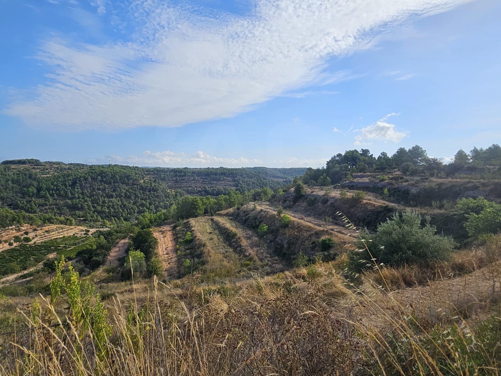 Finca/Landgut zu verkaufen in Gandesa - 350.000 € (Ref: 10023304)