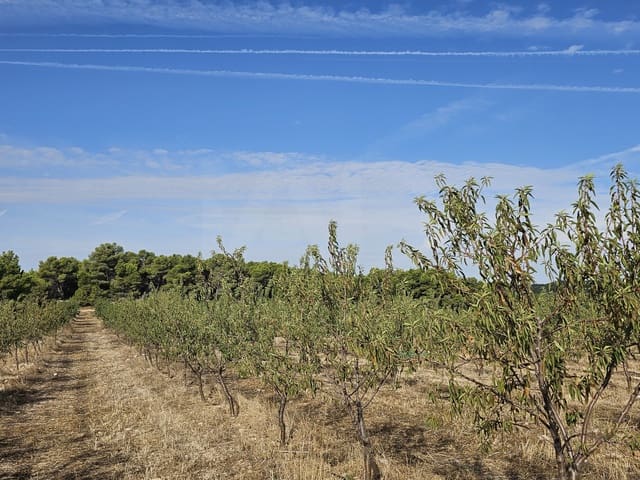 Finca/Landgut zu verkaufen in Gandesa - 350.000 € (Ref: 10023304)