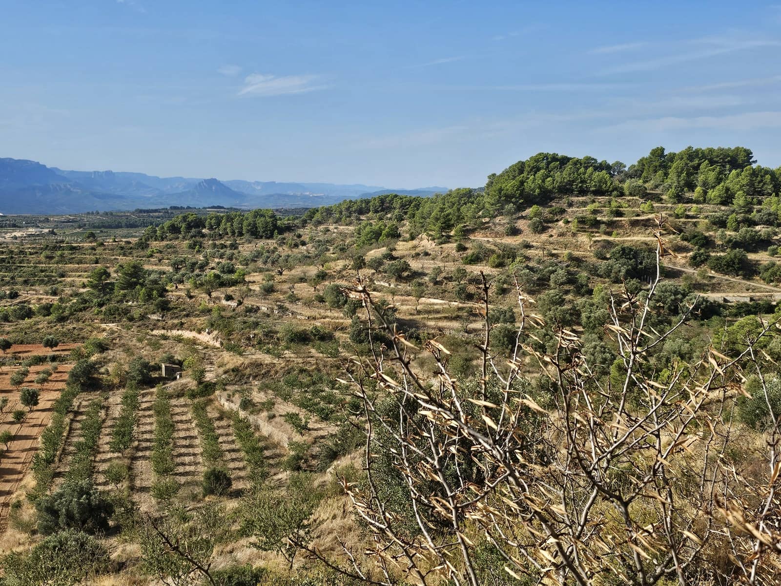 Finca/Landgut zu verkaufen in Gandesa - 350.000 € (Ref: 10023304)