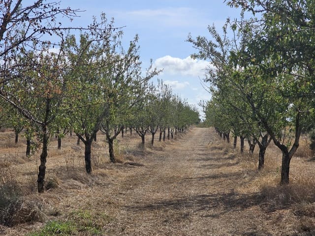 Finca/Landgut zu verkaufen in Gandesa - 350.000 € (Ref: 10023304)