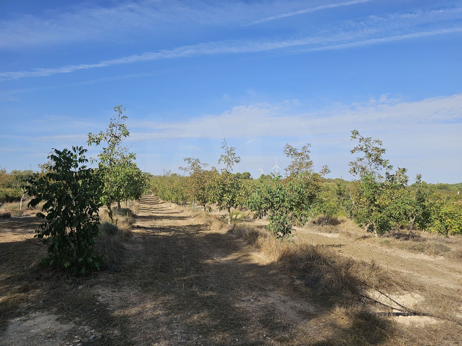 Finca/Landgut zu verkaufen in Gandesa - 350.000 € (Ref: 10023304)