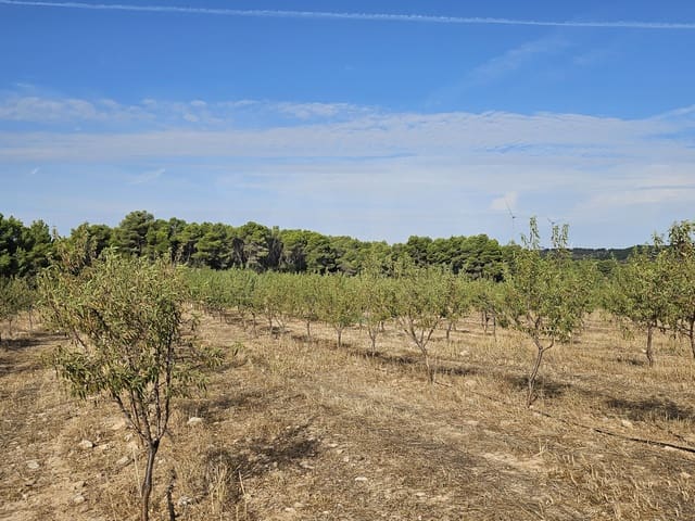 Finca/Landgut zu verkaufen in Gandesa - 350.000 € (Ref: 10023304)