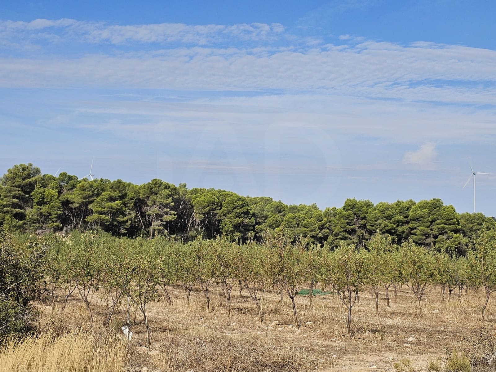 Finca/Landgut zu verkaufen in Gandesa - 350.000 € (Ref: 10023304)