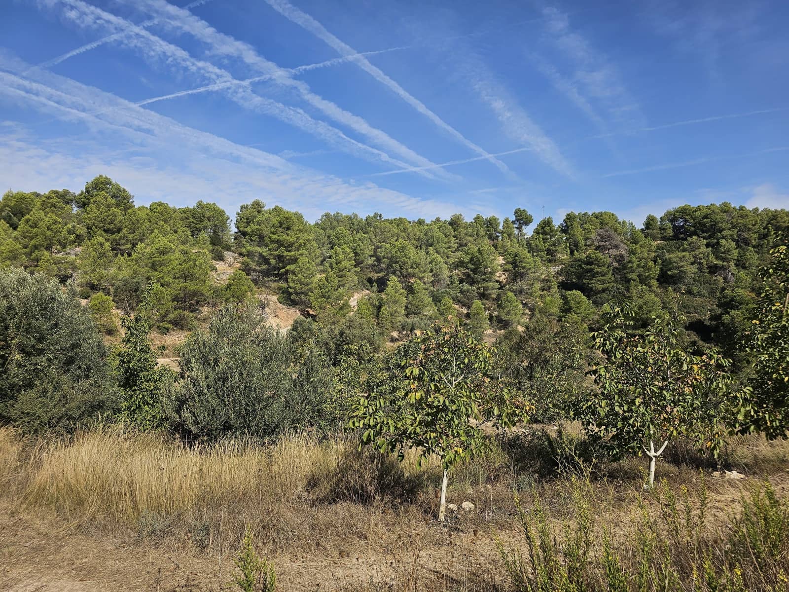 Finca/Landgut zu verkaufen in Gandesa - 350.000 € (Ref: 10023304)