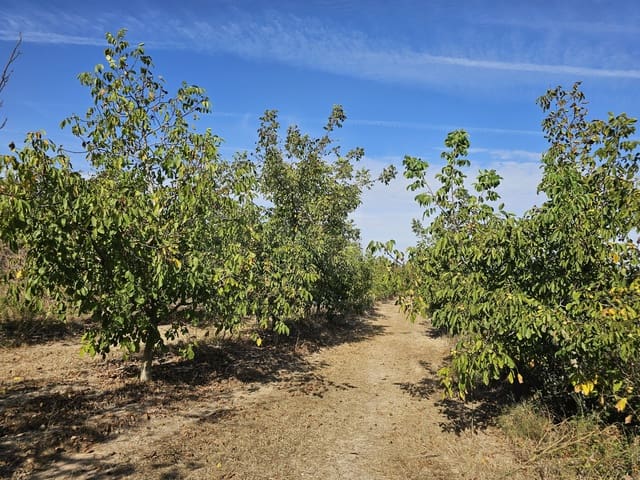 Finca/Landgut zu verkaufen in Gandesa - 350.000 € (Ref: 10023304)