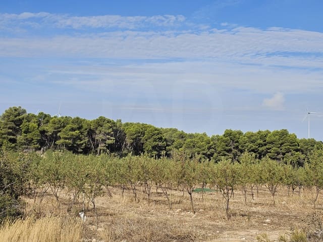 Finca/Landgut zu verkaufen in Gandesa - 350.000 € (Ref: 10023304)