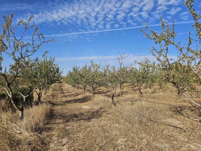 Finca/Landgut zu verkaufen in Gandesa - 350.000 € (Ref: 10023304)