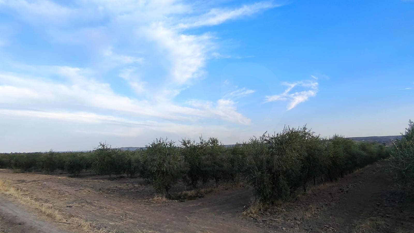 Area Edificabile in vendita in Colmenar de Oreja - 80.000 € (Rif: 10023489)