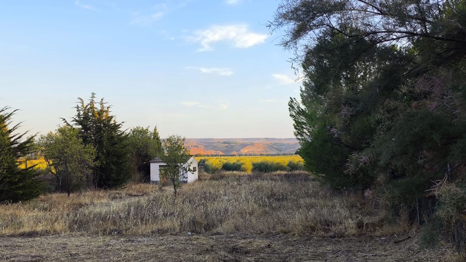 Area Edificabile in vendita in Colmenar de Oreja - 80.000 € (Rif: 10023489)
