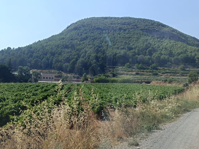 Comercial para venda em Sant Quintí de Mediona - 1 925 000 € (Ref: 10023496)