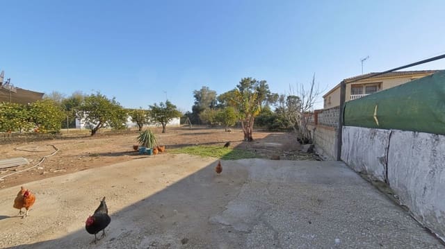 Terre non Aménagée à vendre à Chiclana de la Frontera - 90 000 € (Ref: 10024843)