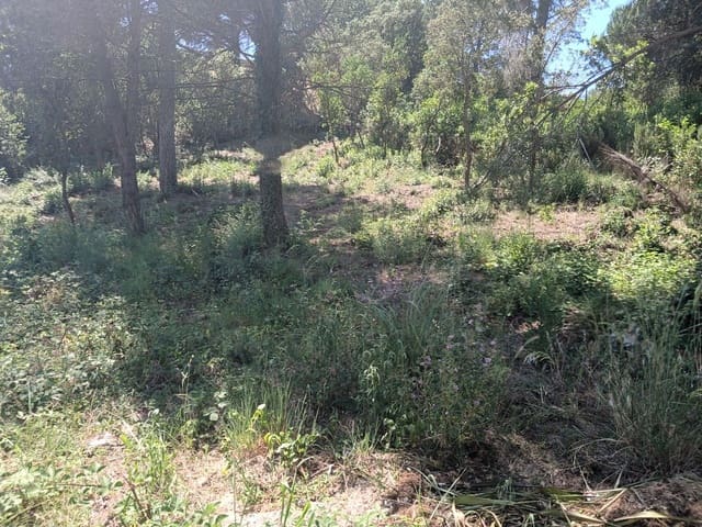 Solar/Parcela en Urbanitzacions del Nord, Lloret de Mar en venta - 42.000 € (Ref: 10024845)