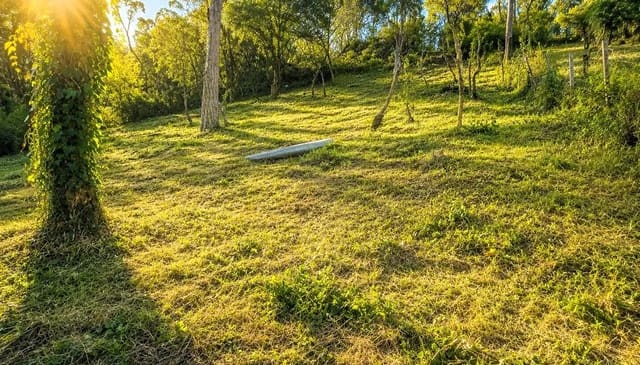Solar/Parcela en Urbanitzacions del Nord, Lloret de Mar en venta - 42.000 € (Ref: 10024845)