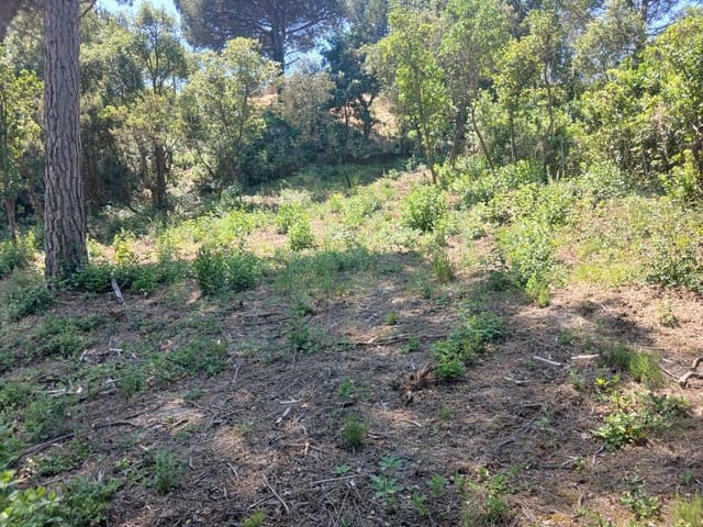 Solar/Parcela en Urbanitzacions del Nord, Lloret de Mar en venta - 42.000 € (Ref: 10024845)