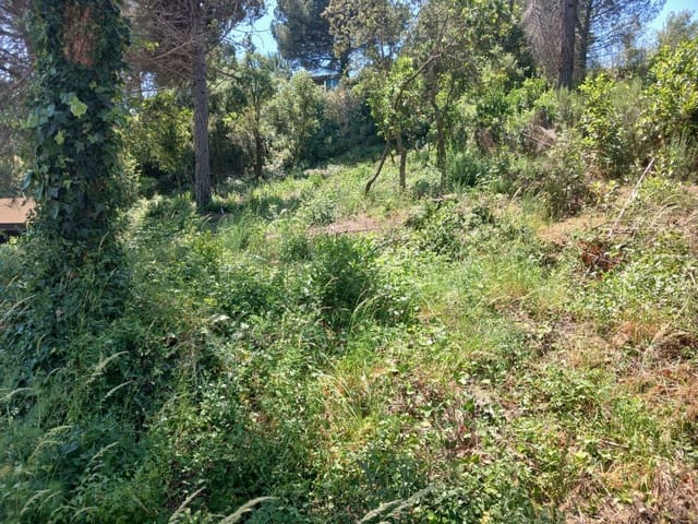 Solar/Parcela en Urbanitzacions del Nord, Lloret de Mar en venta - 42.000 € (Ref: 10024845)