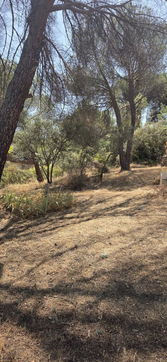 Terreno Non Edificato in vendita in San Martin de Valdeiglesias - 75.000 € (Rif: 10024847)