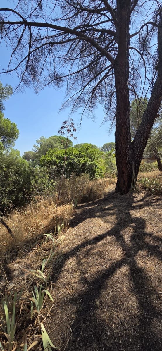 Terreno Non Edificato in vendita in San Martin de Valdeiglesias - 75.000 € (Rif: 10024847)