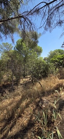 Terreno Non Edificato in vendita in Costa de Madrid, San Martín de Valdeiglesias - 75.000 € (Rif: 10024847)