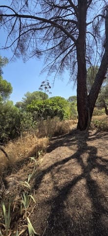Terreno Non Edificato in vendita in Costa de Madrid, San Martín de Valdeiglesias - 75.000 € (Rif: 10024847)