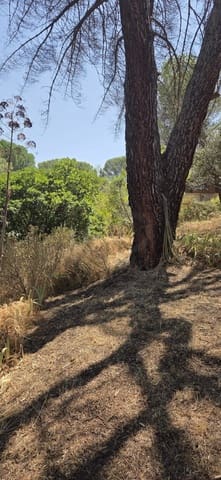 Terreno Non Edificato in vendita in Costa de Madrid, San Martín de Valdeiglesias - 75.000 € (Rif: 10024847)