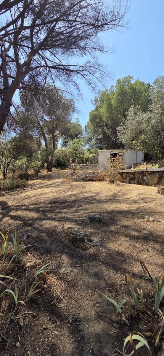 Terreno Non Edificato in vendita in San Martin de Valdeiglesias - 75.000 € (Rif: 10024847)