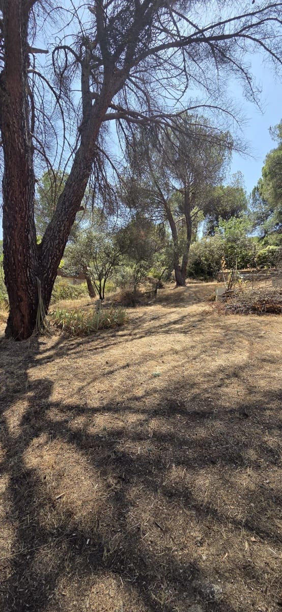 Terreno Non Edificato in vendita in San Martin de Valdeiglesias - 75.000 € (Rif: 10024847)