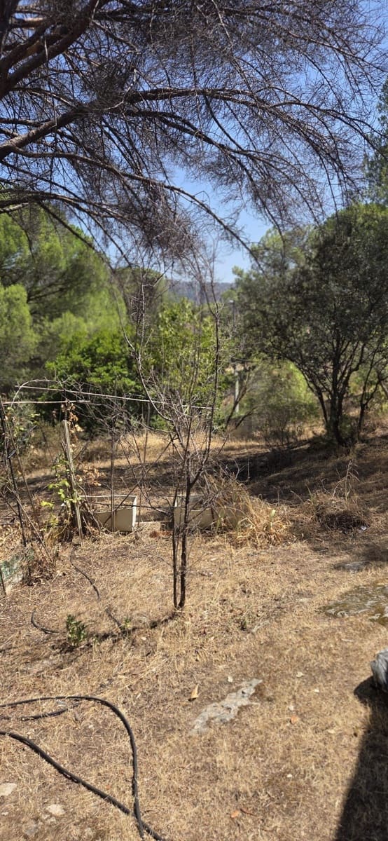 Terreno Non Edificato in vendita in San Martin de Valdeiglesias - 75.000 € (Rif: 10024847)