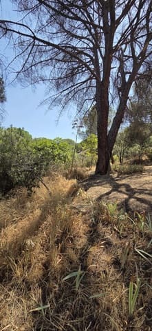 Terreno Non Edificato in vendita in Costa de Madrid, San Martín de Valdeiglesias - 75.000 € (Rif: 10024847)