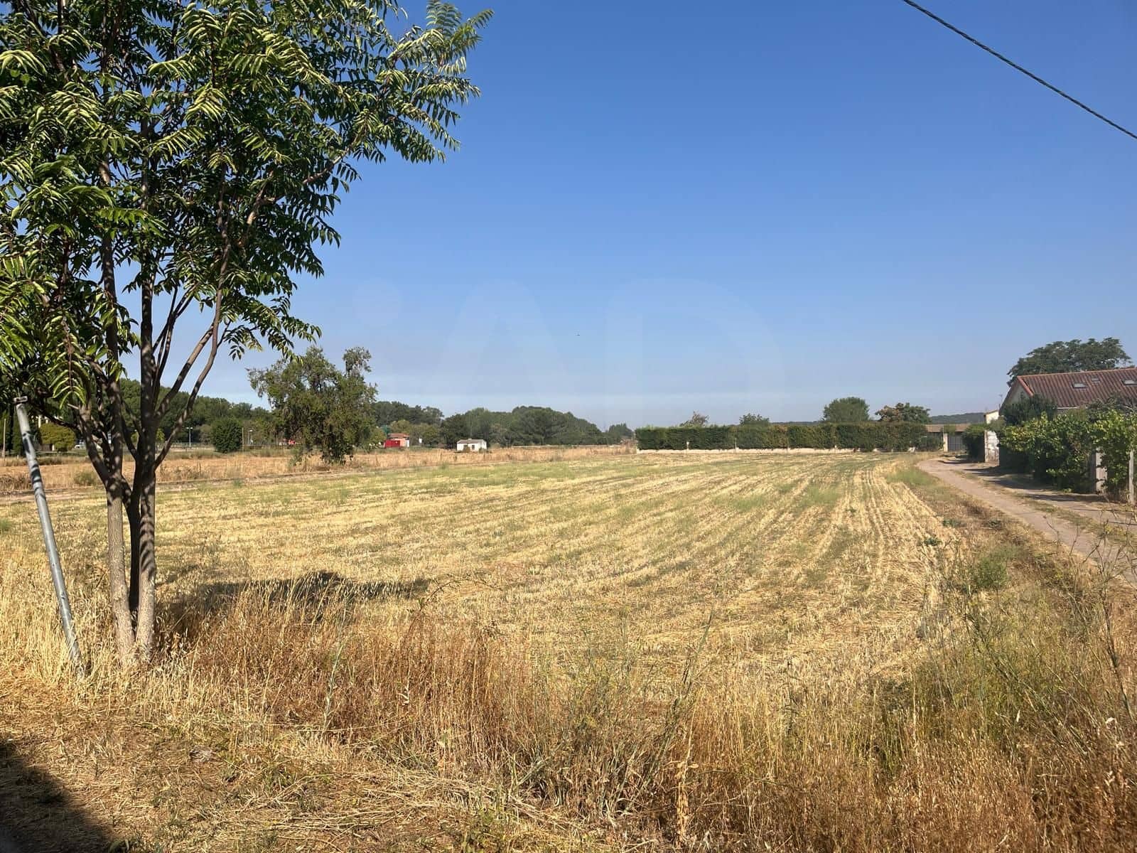 Undeveloped Land for sale in Ciudad Rodrigo - € 75,000 (Ref: 10025008)