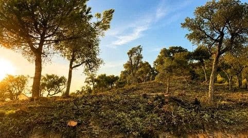 Bauplatz zu verkaufen in Urbanitzacions del Nord, Lloret de Mar - 131.500 € (Ref: 10026515)