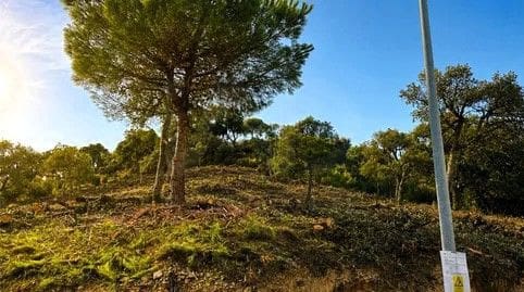 Bauplatz zu verkaufen in Urbanitzacions del Nord, Lloret de Mar - 131.500 € (Ref: 10026515)