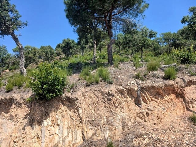 Bauplatz zu verkaufen in Urbanitzacions del Nord, Lloret de Mar - 131.500 € (Ref: 10026515)