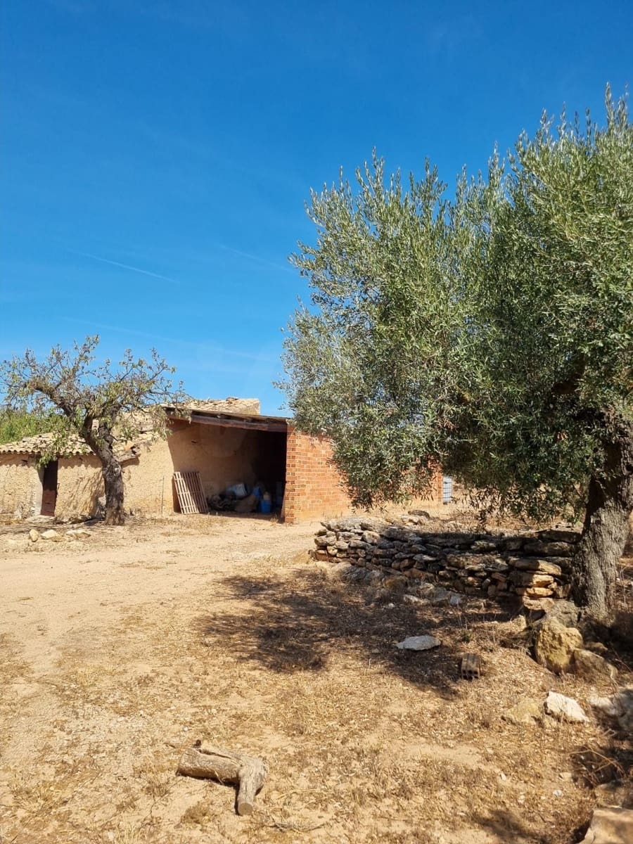 Teren niezagospodarowany na sprzedaż w Tivissa - 38 000 € (Ref: 10026677)