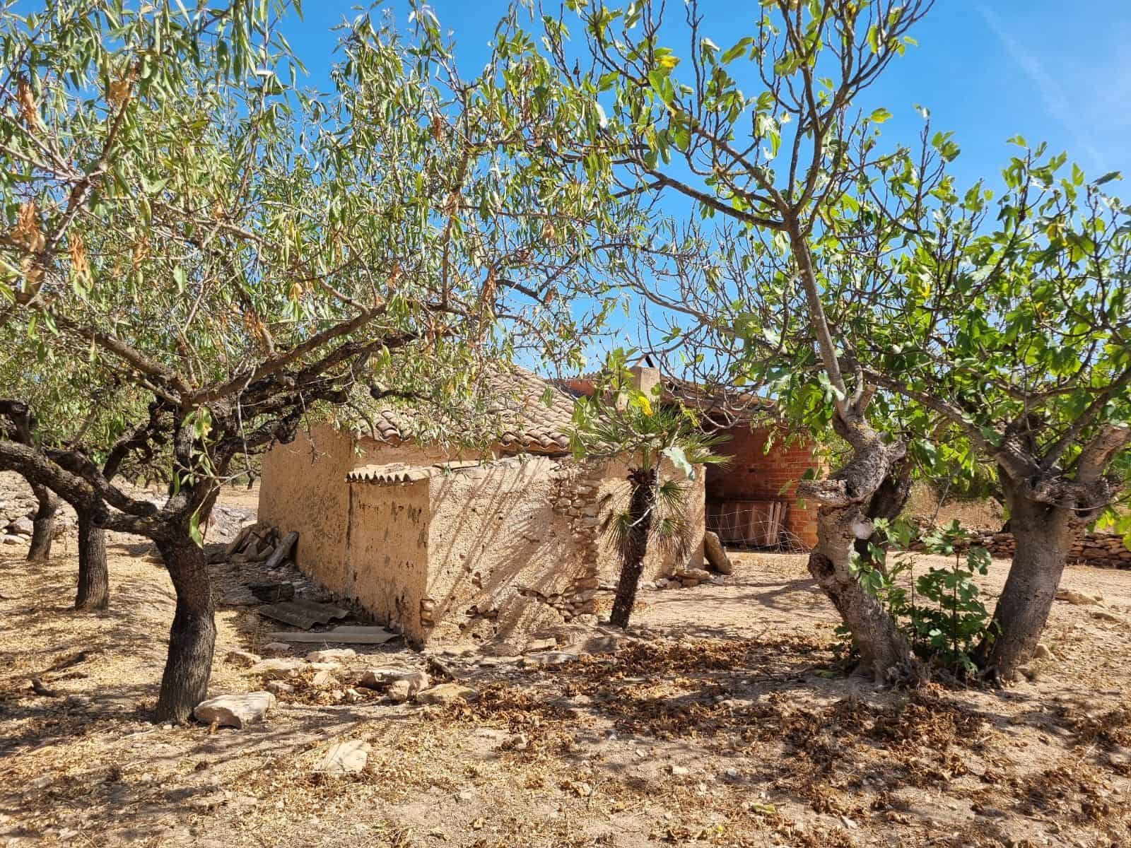 Teren niezagospodarowany na sprzedaż w Tivissa - 38 000 € (Ref: 10026677)