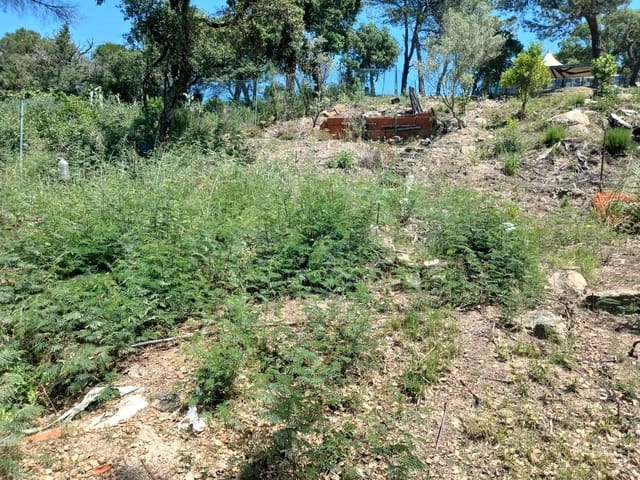 Area Edificabile in vendita in Urbanitzacions del Nord, Lloret de Mar - 52.500 € (Rif: 10027617)