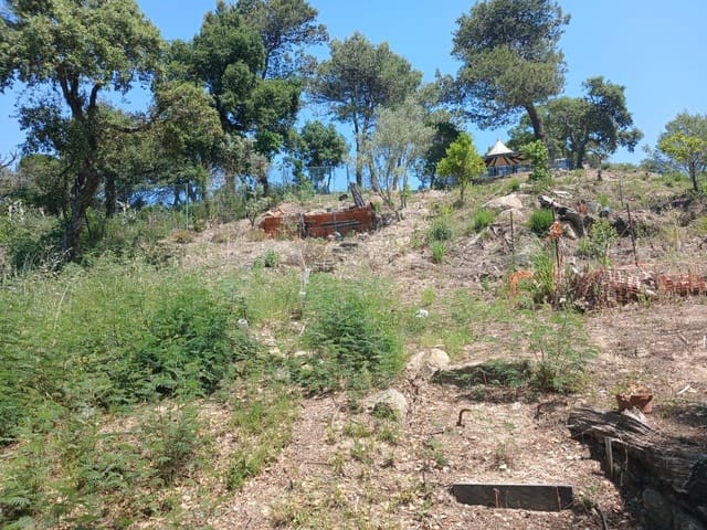Area Edificabile in vendita in Urbanitzacions del Nord, Lloret de Mar - 52.500 € (Rif: 10027617)