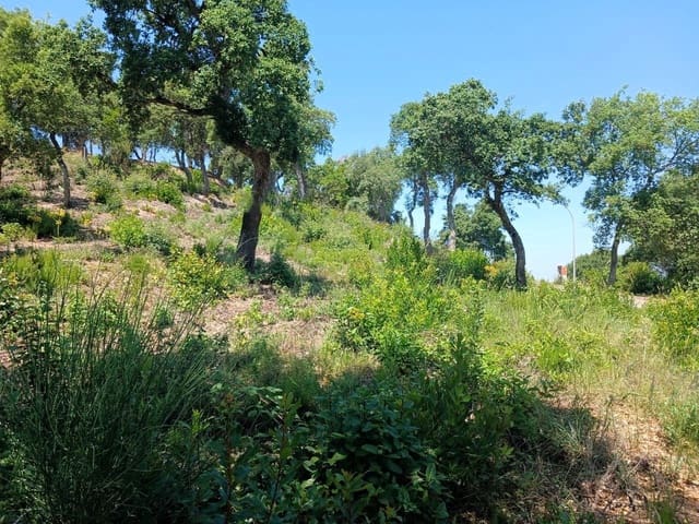 Area Edificabile in vendita in Urbanitzacions del Nord, Lloret de Mar - 44.500 € (Rif: 10027618)