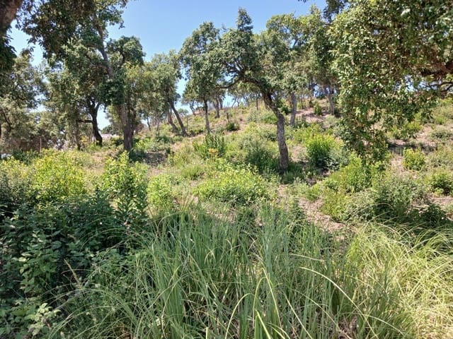 Area Edificabile in vendita in Urbanitzacions del Nord, Lloret de Mar - 44.500 € (Rif: 10027618)