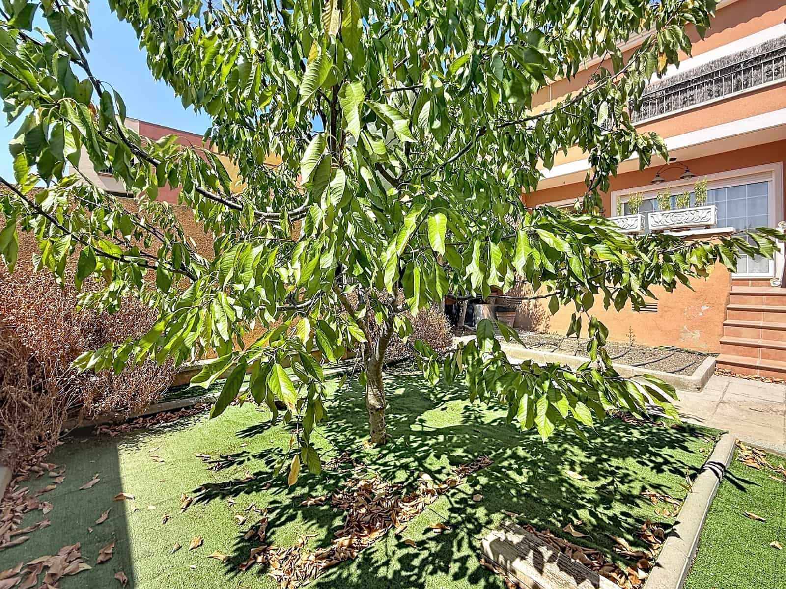 4 makuuhuone Rivitalo myytävänä paikassa Sant Jaume dels Domenys - 265 000 € (Ref: 10027621)