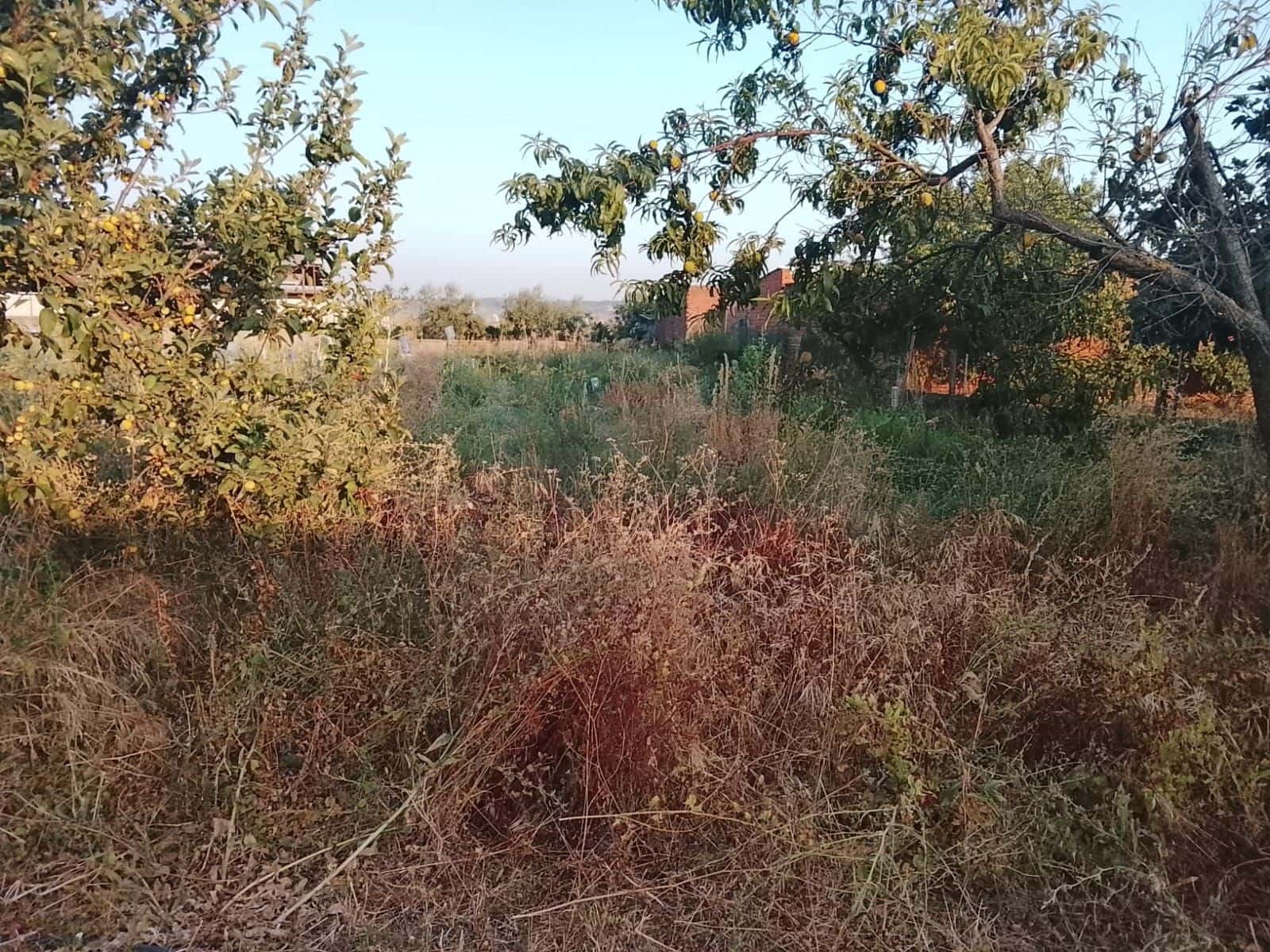 Tomt till salu i Talavera de la Reina - 158 500 € (Ref: 10027687)