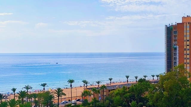 3 chambre Appartement à vendre à Playa de Muchavista, El Campello avec piscine - 399 000 € (Ref: 10027688)