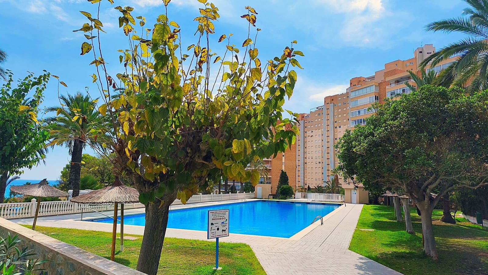 3 chambre Appartement à vendre à El Campello avec piscine - 399 000 € (Ref: 10027688)
