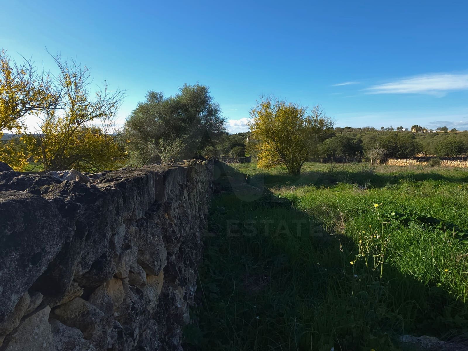 Terre non Aménagée à vendre à Santa Margalida - 150 000 € (Ref: 10027689)